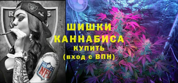 сатива Гусь-Хрустальный