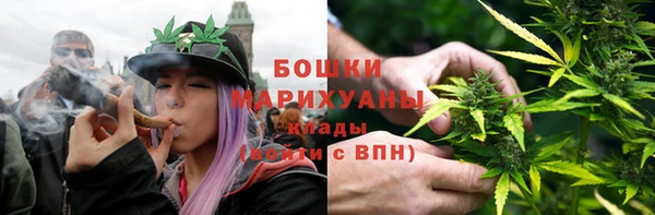 сатива Гусь-Хрустальный