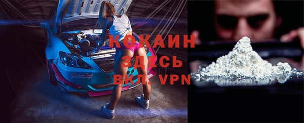 хмурый Горно-Алтайск