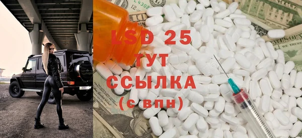 сатива Гусь-Хрустальный