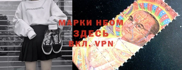 сатива Гусь-Хрустальный