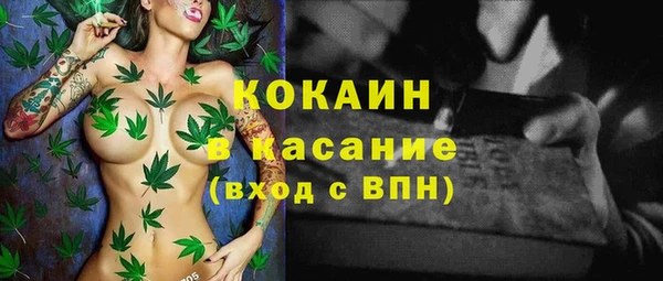сатива Гусь-Хрустальный