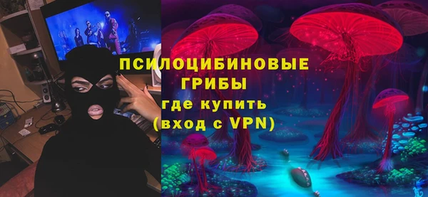хмурый Горно-Алтайск