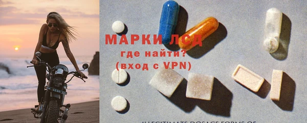 мяу мяу мука Гусев